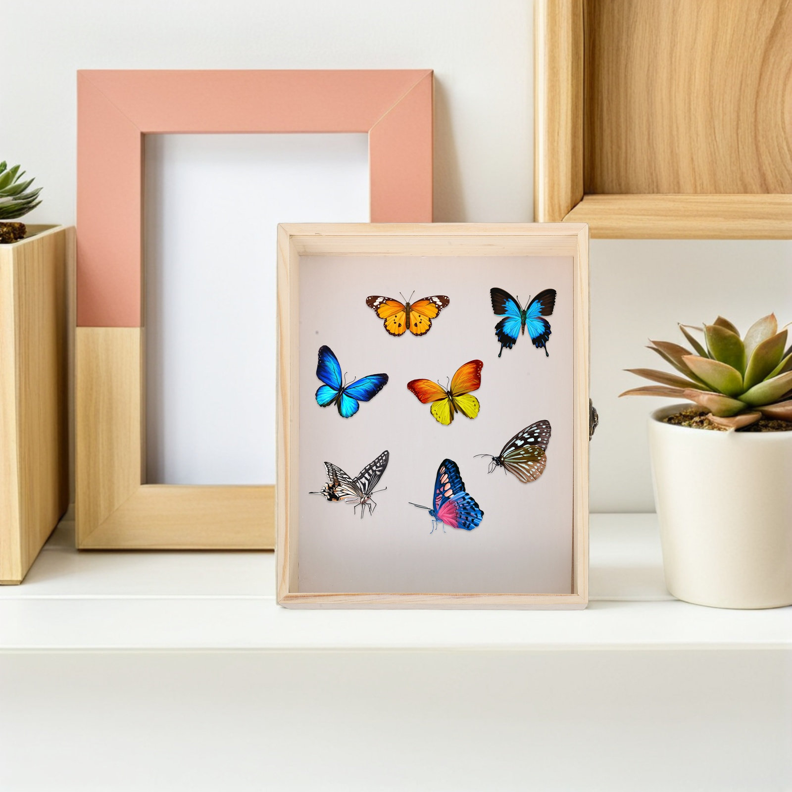 無垢材昆虫標本展示箱 26x20cm 透明フレーム 学校科学 - Science Project のレビューと価格